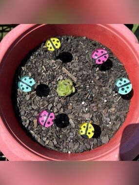 Homemade Handpainted Garden/Planter Pots Ladybug set of 6